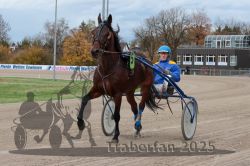 Dateiname=20251026_r05_042_R05_0124.jpg
Dateigröße=301KB
Abmessungen: 1000x667
hinzugefügt am: 28. Oktober 2025 20251026_r05_042_R05_0124.jpg