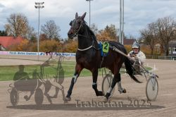 Dateiname=20251026_r05_043_R05_0130.jpg
Dateigröße=294KB
Abmessungen: 1000x667
hinzugefügt am: 28. Oktober 2025 20251026_r05_043_R05_0130.jpg