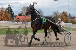 Dateiname=20251026_r05_044_R05_0135.jpg
Dateigröße=288KB
Abmessungen: 1000x667
hinzugefügt am: 28. Oktober 2025 20251026_r05_044_R05_0135.jpg