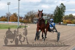 Dateiname=20251026_r05_045_R05_0140.jpg
Dateigröße=307KB
Abmessungen: 1000x667
hinzugefügt am: 28. Oktober 2025 20251026_r05_045_R05_0140.jpg