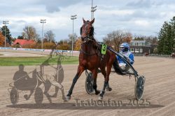 Dateiname=20251026_r05_046_R05_0149.jpg
Dateigröße=298KB
Abmessungen: 1000x667
hinzugefügt am: 28. Oktober 2025 20251026_r05_046_R05_0149.jpg