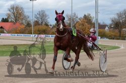 Dateiname=20251026_r05_048_R05_0157.jpg
Dateigröße=301KB
Abmessungen: 1000x667
hinzugefügt am: 28. Oktober 2025 20251026_r05_048_R05_0157.jpg