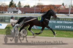 Dateiname=20251026_r05_054_R05_0185.jpg
Dateigröße=291KB
Abmessungen: 1000x667
hinzugefügt am: 28. Oktober 2025 20251026_r05_054_R05_0185.jpg