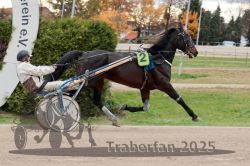 Dateiname=20251026_r05_058_R05_0201.jpg
Dateigröße=305KB
Abmessungen: 1000x667
hinzugefügt am: 28. Oktober 2025 20251026_r05_058_R05_0201.jpg