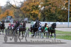 Dateiname=20251026_r05_059_R05_0204.jpg
Dateigröße=347KB
Abmessungen: 1000x667
hinzugefügt am: 28. Oktober 2025 20251026_r05_059_R05_0204.jpg