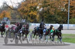 Dateiname=20251026_r05_060_R05_0208.jpg
Dateigröße=359KB
Abmessungen: 1000x667
hinzugefügt am: 28. Oktober 2025 20251026_r05_060_R05_0208.jpg