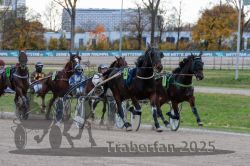 Dateiname=20251026_r05_065_R05_0226.jpg
Dateigröße=322KB
Abmessungen: 1000x667
hinzugefügt am: 28. Oktober 2025 20251026_r05_065_R05_0226.jpg