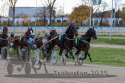 Dateiname=20251026_r05_066_R05_0229.jpg
Dateigröße=306KB
Abmessungen: 1000x667
hinzugefügt am: 28. Oktober 2025 20251026_r05_066_R05_0229.jpg