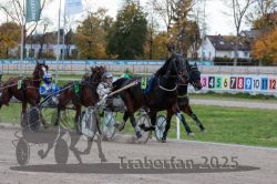 Dateiname=20251026_r05_067_R05_0234.jpg
Dateigröße=333KB
Abmessungen: 1000x667
hinzugefügt am: 28. Oktober 2025 20251026_r05_067_R05_0234.jpg