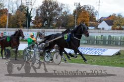 Dateiname=20251026_r05_070_R05_0245.jpg
Dateigröße=320KB
Abmessungen: 1000x667
hinzugefügt am: 28. Oktober 2025 20251026_r05_070_R05_0245.jpg