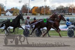 Dateiname=20251026_r05_072_R05_0254.jpg
Dateigröße=304KB
Abmessungen: 1000x667
hinzugefügt am: 28. Oktober 2025 20251026_r05_072_R05_0254.jpg