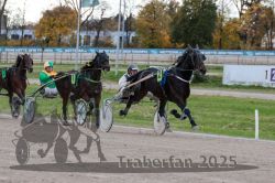 Dateiname=20251026_r05_076_R05_0275.jpg
Dateigröße=321KB
Abmessungen: 1000x667
hinzugefügt am: 28. Oktober 2025 20251026_r05_076_R05_0275.jpg