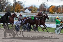 Dateiname=20251026_r05_082_R05_0297.jpg
Dateigröße=330KB
Abmessungen: 1000x667
hinzugefügt am: 28. Oktober 2025 20251026_r05_082_R05_0297.jpg