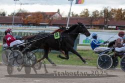 Dateiname=20251026_r05_085_R05_0307.jpg
Dateigröße=282KB
Abmessungen: 1000x667
hinzugefügt am: 28. Oktober 2025 20251026_r05_085_R05_0307.jpg