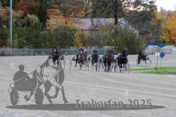 Dateiname=20251026_r05_086_R05_0313.jpg
Dateigröße=328KB
Abmessungen: 1000x667
hinzugefügt am: 28. Oktober 2025 20251026_r05_086_R05_0313.jpg