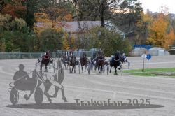 Dateiname=20251026_r05_087_R05_0318.jpg
Dateigröße=328KB
Abmessungen: 1000x667
hinzugefügt am: 28. Oktober 2025 20251026_r05_087_R05_0318.jpg