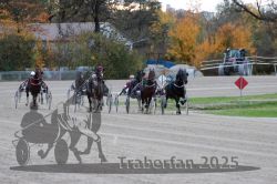 Dateiname=20251026_r05_088_R05_0322.jpg
Dateigröße=310KB
Abmessungen: 1000x667
hinzugefügt am: 28. Oktober 2025 20251026_r05_088_R05_0322.jpg