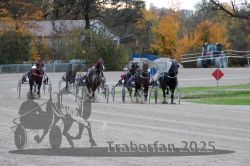 Dateiname=20251026_r05_089_R05_0326.jpg
Dateigröße=315KB
Abmessungen: 1000x667
hinzugefügt am: 28. Oktober 2025 20251026_r05_089_R05_0326.jpg