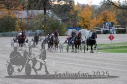 Dateiname=20251026_r05_090_R05_0330.jpg
Dateigröße=311KB
Abmessungen: 1000x667
hinzugefügt am: 28. Oktober 2025 20251026_r05_090_R05_0330.jpg