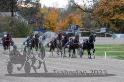 Dateiname=20251026_r05_091_R05_0335.jpg
Dateigröße=334KB
Abmessungen: 1000x667
hinzugefügt am: 28. Oktober 2025 20251026_r05_091_R05_0335.jpg