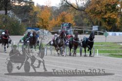 Dateiname=20251026_r05_092_R05_0339.jpg
Dateigröße=330KB
Abmessungen: 1000x667
hinzugefügt am: 28. Oktober 2025 20251026_r05_092_R05_0339.jpg