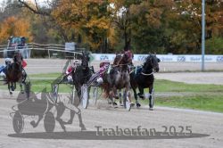 Dateiname=20251026_r05_093_R05_0343.jpg
Dateigröße=312KB
Abmessungen: 1000x667
hinzugefügt am: 28. Oktober 2025 20251026_r05_093_R05_0343.jpg