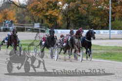 Dateiname=20251026_r05_094_R05_0346.jpg
Dateigröße=319KB
Abmessungen: 1000x667
hinzugefügt am: 28. Oktober 2025 20251026_r05_094_R05_0346.jpg