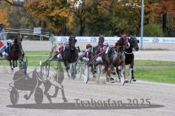 Dateiname=20251026_r05_095_R05_0350.jpg
Dateigröße=314KB
Abmessungen: 1000x667
hinzugefügt am: 28. Oktober 2025 20251026_r05_095_R05_0350.jpg