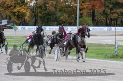 Dateiname=20251026_r05_096_R05_0354.jpg
Dateigröße=312KB
Abmessungen: 1000x667
hinzugefügt am: 28. Oktober 2025 20251026_r05_096_R05_0354.jpg