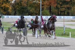 Dateiname=20251026_r05_097_R05_0357.jpg
Dateigröße=303KB
Abmessungen: 1000x667
hinzugefügt am: 28. Oktober 2025 20251026_r05_097_R05_0357.jpg