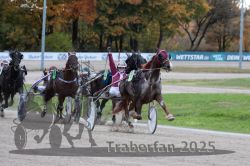 Dateiname=20251026_r05_099_R05_0363.jpg
Dateigröße=288KB
Abmessungen: 1000x667
hinzugefügt am: 28. Oktober 2025 20251026_r05_099_R05_0363.jpg