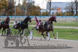 Dateiname=20251026_r05_100_R05_0366.jpg
Dateigröße=305KB
Abmessungen: 1000x667
hinzugefügt am: 28. Oktober 2025 20251026_r05_100_R05_0366.jpg