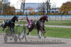 Dateiname=20251026_r05_102_R05_0370.jpg
Dateigröße=294KB
Abmessungen: 1000x667
hinzugefügt am: 28. Oktober 2025 20251026_r05_102_R05_0370.jpg