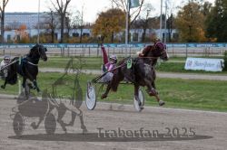 Dateiname=20251026_r05_104_R05_0377.jpg
Dateigröße=310KB
Abmessungen: 1000x667
hinzugefügt am: 28. Oktober 2025 20251026_r05_104_R05_0377.jpg