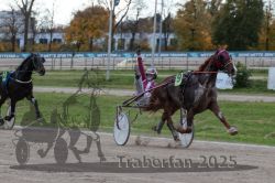 Dateiname=20251026_r05_105_R05_0380.jpg
Dateigröße=287KB
Abmessungen: 1000x667
hinzugefügt am: 28. Oktober 2025 20251026_r05_105_R05_0380.jpg