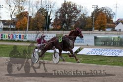 Dateiname=20251026_r05_106_R05_0384.jpg
Dateigröße=301KB
Abmessungen: 1000x667
hinzugefügt am: 28. Oktober 2025 20251026_r05_106_R05_0384.jpg