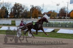 Dateiname=20251026_r05_107_R05_0387.jpg
Dateigröße=270KB
Abmessungen: 1000x667
hinzugefügt am: 28. Oktober 2025 20251026_r05_107_R05_0387.jpg