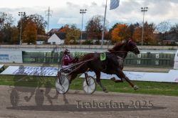 Dateiname=20251026_r05_108_R05_0391.jpg
Dateigröße=286KB
Abmessungen: 1000x667
hinzugefügt am: 28. Oktober 2025 20251026_r05_108_R05_0391.jpg