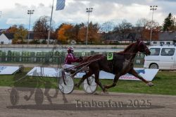 Dateiname=20251026_r05_109_R05_0394.jpg
Dateigröße=278KB
Abmessungen: 1000x667
hinzugefügt am: 28. Oktober 2025 20251026_r05_109_R05_0394.jpg