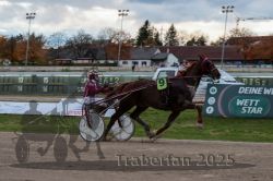 Dateiname=20251026_r05_110_R05_0397.jpg
Dateigröße=264KB
Abmessungen: 1000x667
hinzugefügt am: 28. Oktober 2025 20251026_r05_110_R05_0397.jpg