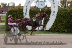 Dateiname=20251026_r05_114_R05_0408.jpg
Dateigröße=295KB
Abmessungen: 1000x667
hinzugefügt am: 28. Oktober 2025 20251026_r05_114_R05_0408.jpg