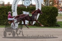 Dateiname=20251026_r05_115_R05_0409.jpg
Dateigröße=306KB
Abmessungen: 1000x667
hinzugefügt am: 28. Oktober 2025 20251026_r05_115_R05_0409.jpg