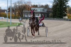 Dateiname=20251026_r05_134_R05_0505.jpg
Dateigröße=303KB
Abmessungen: 1000x667
hinzugefügt am: 28. Oktober 2025 20251026_r05_134_R05_0505.jpg