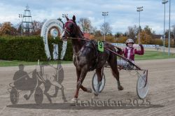 Dateiname=20251026_r05_140_R05_0538.jpg
Dateigröße=288KB
Abmessungen: 1000x667
hinzugefügt am: 28. Oktober 2025 20251026_r05_140_R05_0538.jpg