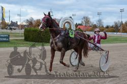 Dateiname=20251026_r05_141_R05_0543.jpg
Dateigröße=287KB
Abmessungen: 1000x667
hinzugefügt am: 28. Oktober 2025 20251026_r05_141_R05_0543.jpg