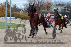 Dateiname=20251026_r06_001_R06_0003.jpg
Dateigröße=317KB
Abmessungen: 1000x667
hinzugefügt am: 28. Oktober 2025 20251026_r06_001_R06_0003.jpg