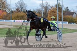 Dateiname=20251026_r06_006_R06_0035.jpg
Dateigröße=282KB
Abmessungen: 1000x667
hinzugefügt am: 28. Oktober 2025 20251026_r06_006_R06_0035.jpg