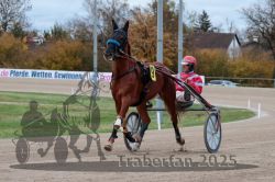 Dateiname=20251026_r06_010_R06_0063.jpg
Dateigröße=298KB
Abmessungen: 1000x667
hinzugefügt am: 28. Oktober 2025 20251026_r06_010_R06_0063.jpg