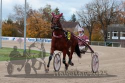 Dateiname=20251026_r06_012_R06_0078.jpg
Dateigröße=309KB
Abmessungen: 1000x667
hinzugefügt am: 28. Oktober 2025 20251026_r06_012_R06_0078.jpg