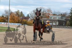 Dateiname=20251026_r06_014_R06_0093.jpg
Dateigröße=305KB
Abmessungen: 1000x667
hinzugefügt am: 28. Oktober 2025 20251026_r06_014_R06_0093.jpg